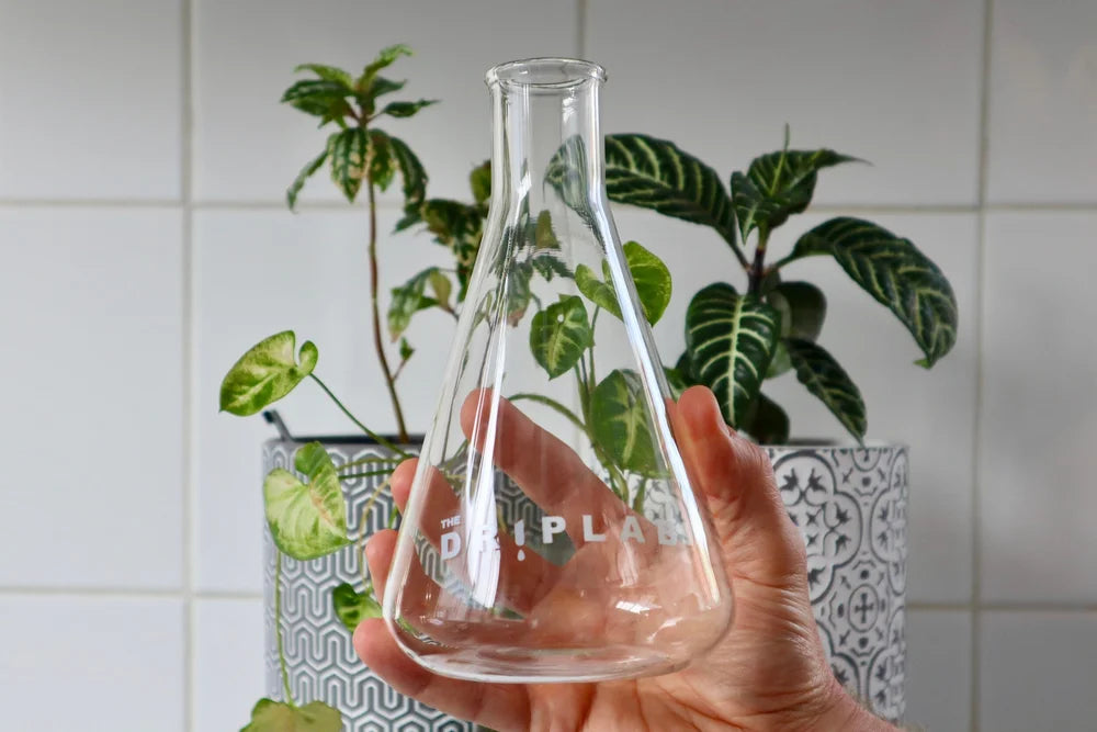 DripLab Cold Drip Replacement Bottom Vessel